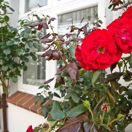 Zum Goldenen Anker דירה Tönning